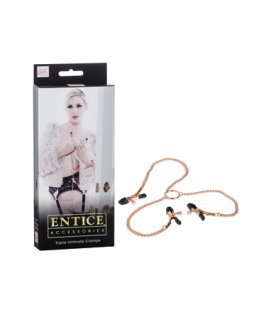 Зажимы для сосков и половых губ с цепью Entice Triple Intimate Clamps золотистые